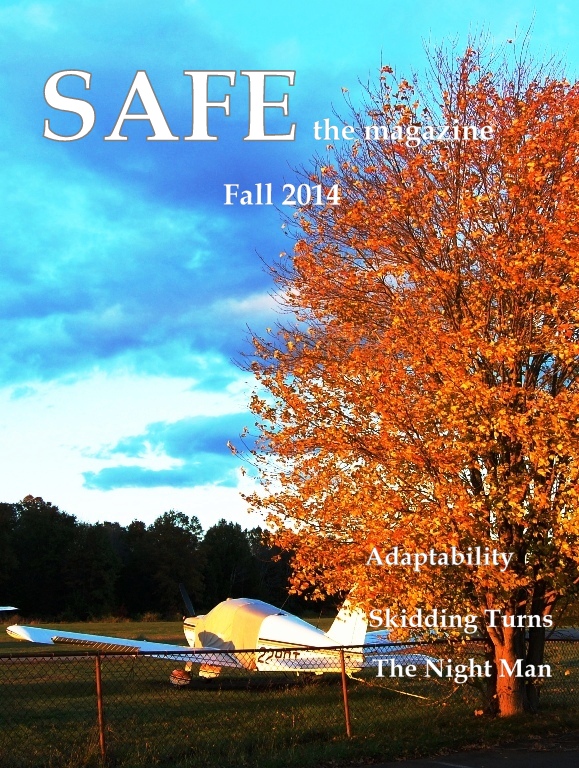 SAFE_Fall 14 cover